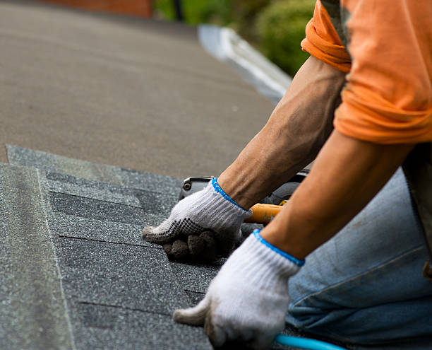 Quick and Trustworthy Emergency Roof Repair Services in Rolla, MO